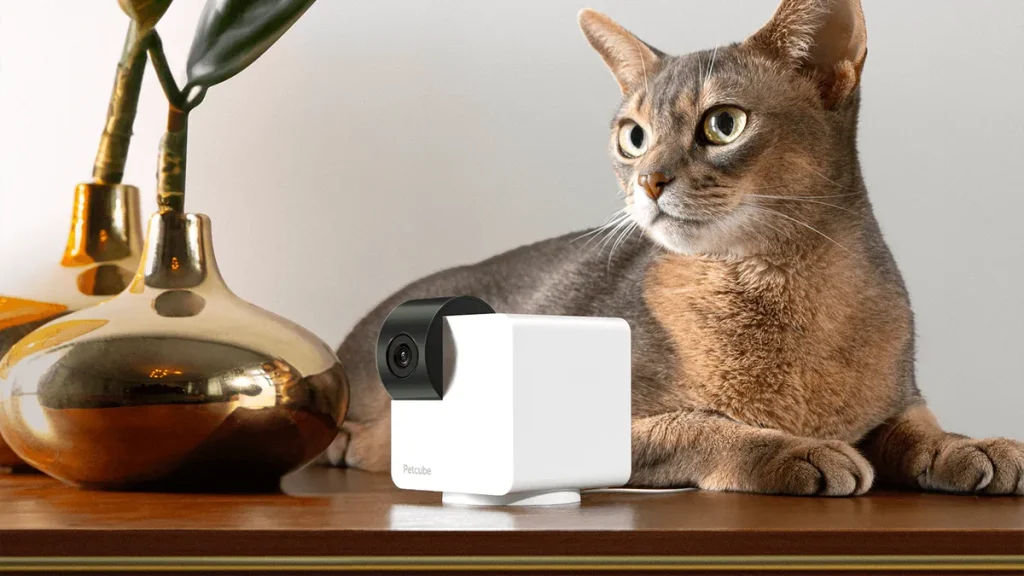 Best Home Pet Cams of 2025: Tested with Our Pets