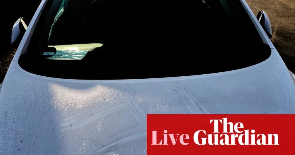 German police detain man suspected of painting swastikas on cars and walls with his own blood – Europe live | World news