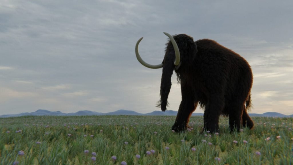 Rediscovered Fossil Redraws the Map of Woolly Mammoth Territory