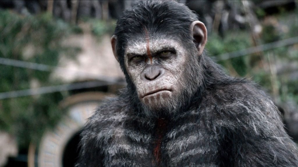 Caesar looks angry in Dawn of the Planet of the Apes