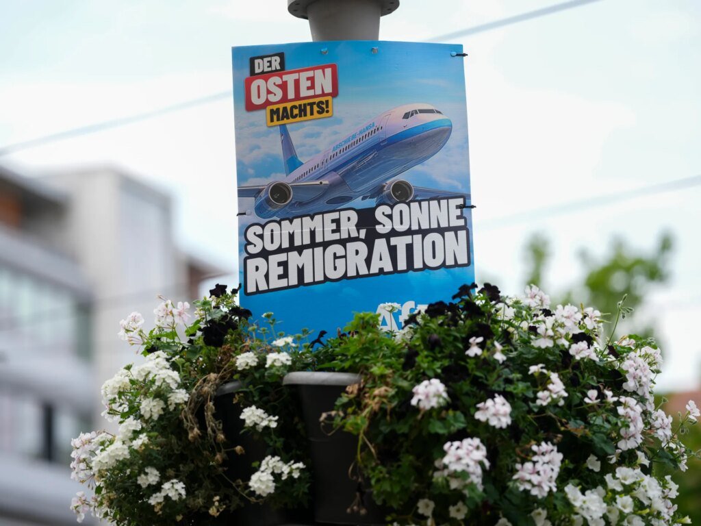 What is remigration, the far-right fringe idea going mainstream? | Migration News