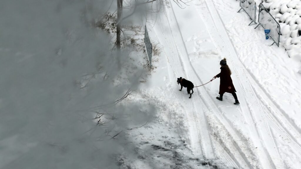 ‘Bomb cyclone’ forecasted to bring heavy snow, blizzard conditions and dangerous travel : NPR