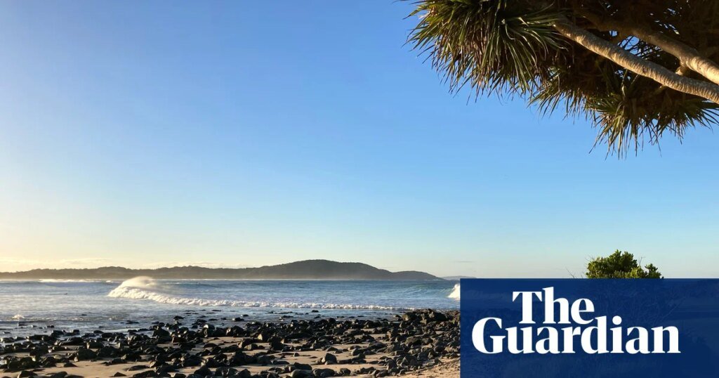 After four shark attacks in 48 hours, NSW authorities urge beachgoers ‘just go to a pool’ | New South Wales