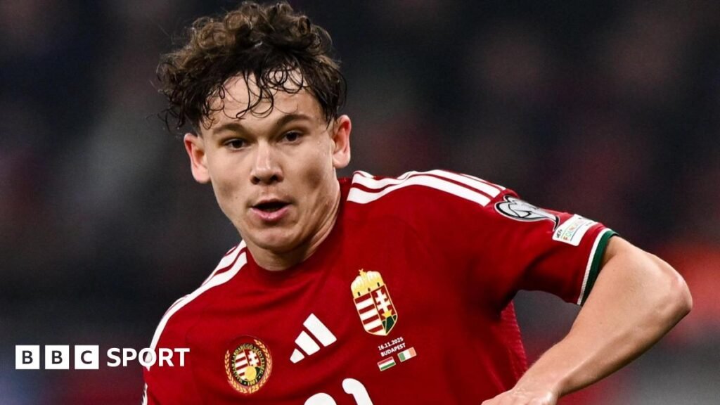 Hungary midfielder Alex Toth