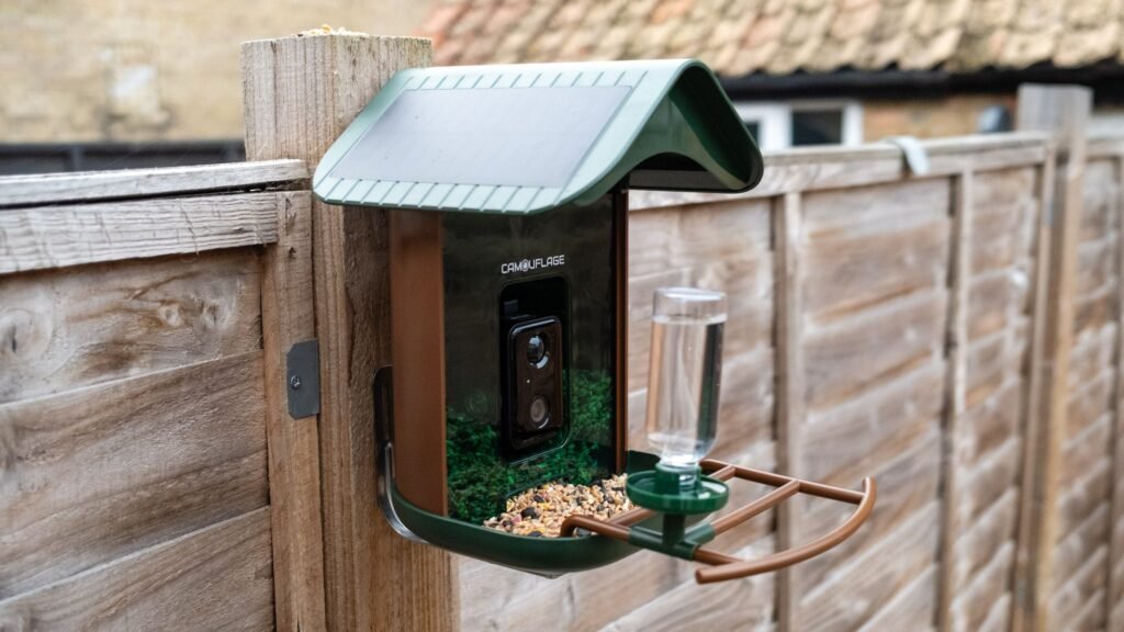 Camouflage EZ BirdFeed review: a superb value, smart bird feeder camera that identifies your feathered friends