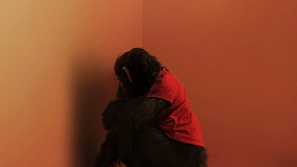 Fire and Ash' Fends Off 'Primate' At the Box Office