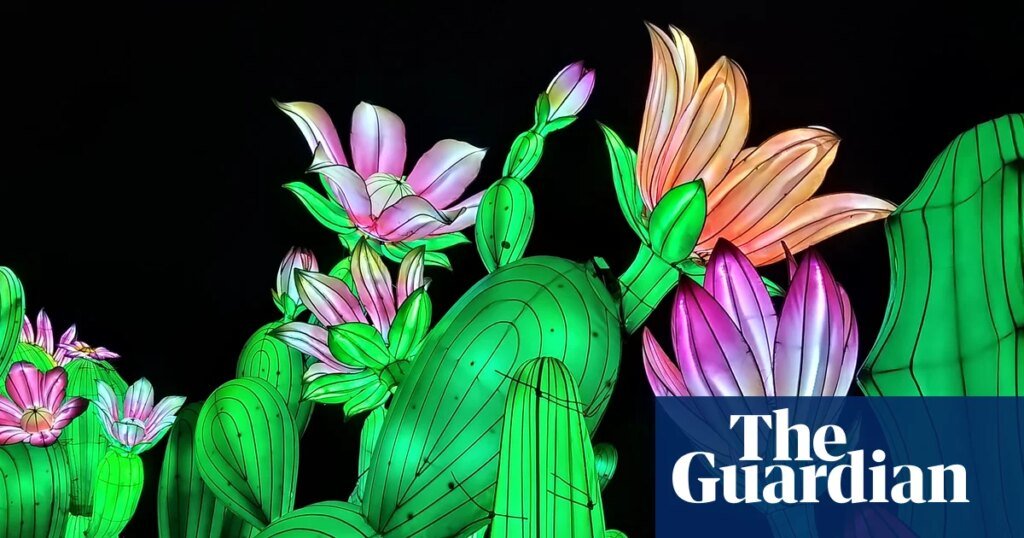Luminous lanterns and a sunbathing parakeet – readers’ best photographs