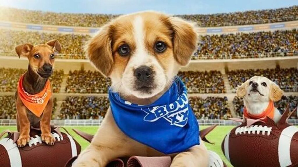 Puppy Bowl 2026: How to Watch and Stream the Furry Showdown