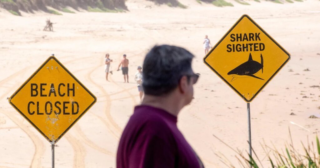 Shark mauls surfer in Sydney one day after boy bitten, critically injured while swimming with friends