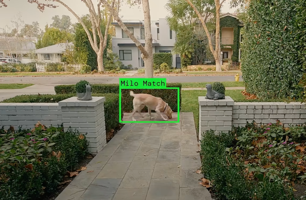 Leaked Email Suggests Ring Plans to Expand ‘Search Party’ Surveillance Beyond Dogs Leaked Email Suggests Ring Plans to Expand ‘Search Party’ Surveillance Beyond Dogs