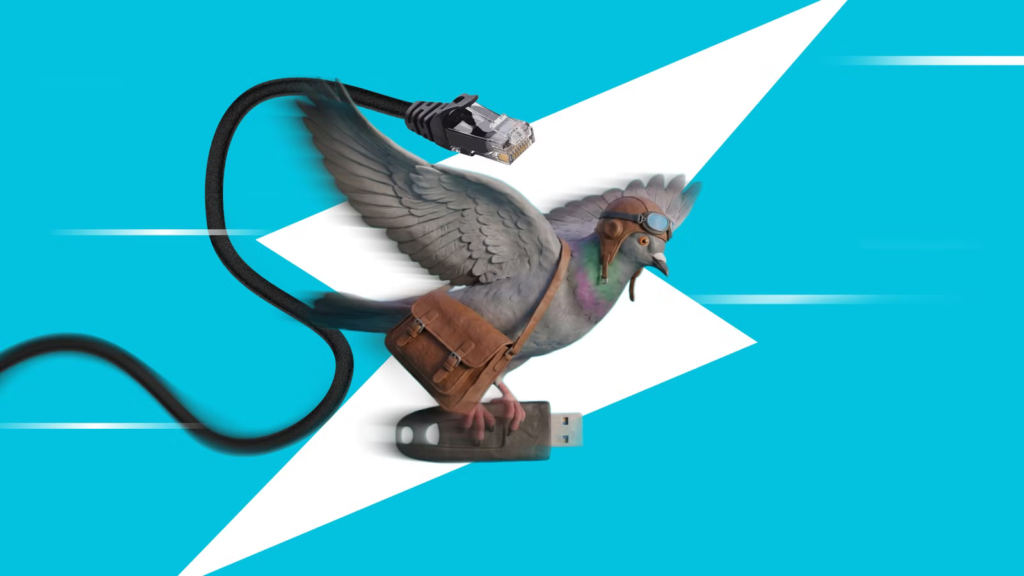 Why the bird still wins in 2026 Why the bird still wins in 2026