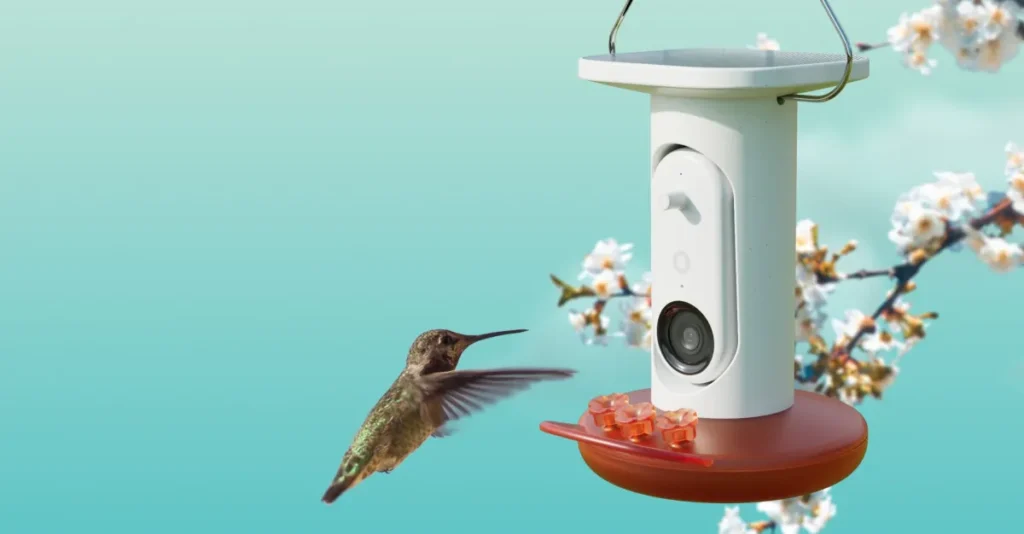 Birdbuddy’s AI-powered hummingbird feeder is matching its best price to date