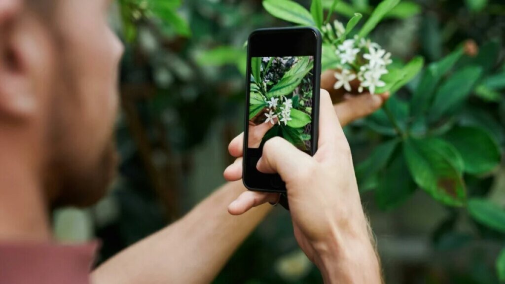 Here’s a smarter way to store your files without endless subscription fees