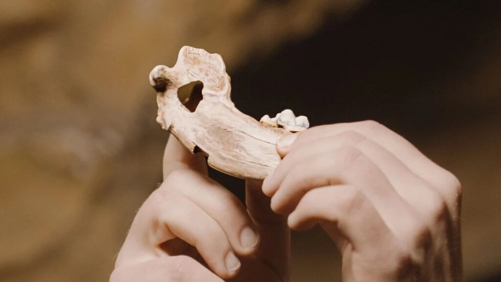 Humans Were Already Dog People 16,000 Years Ago, DNA Suggests