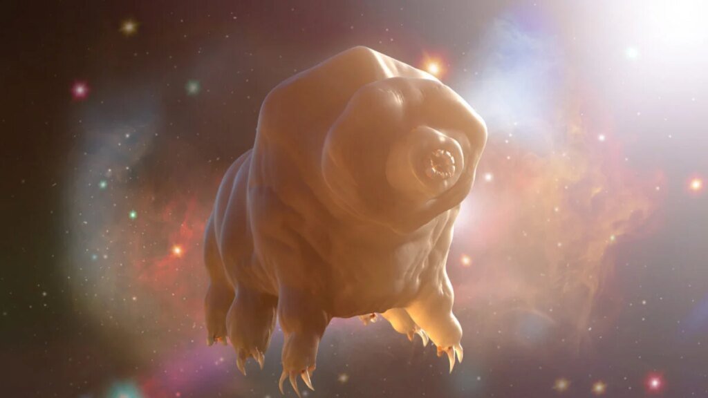 Scientists Finally Found Something Tardigrades Can’t Survive