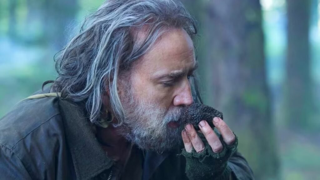 Last chance to watch—What's leaving Netflix in May 2026