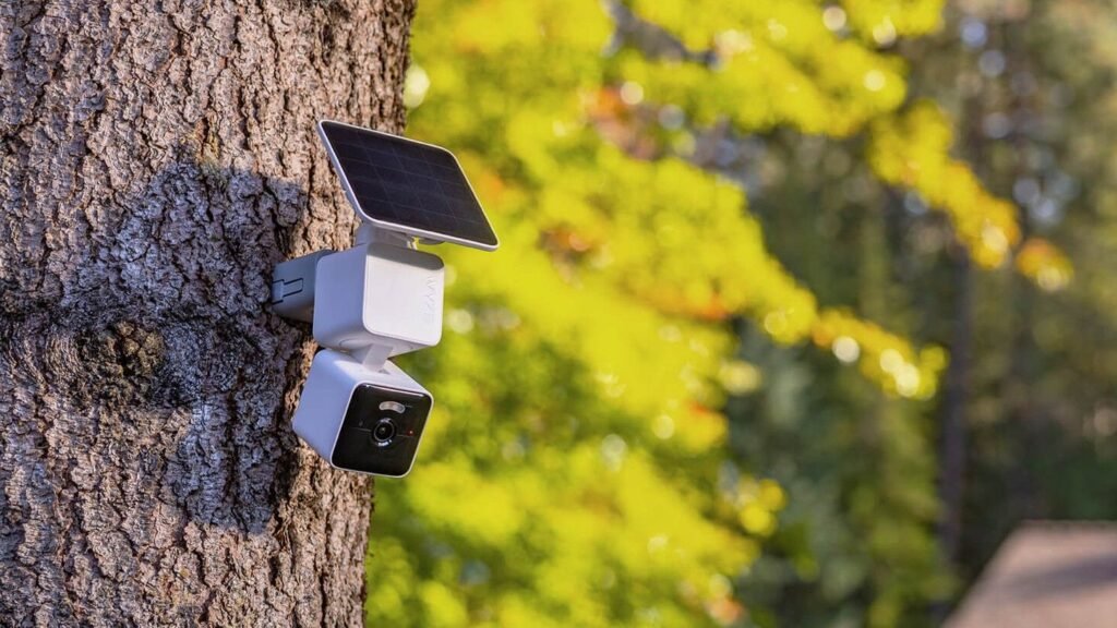 Wyze Solar Cam Pan mounted on a tree